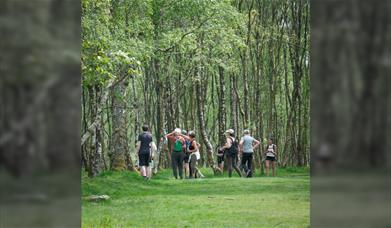 Forage and Cook - Wirral