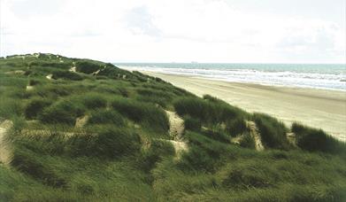 Natterjack Cycle Route