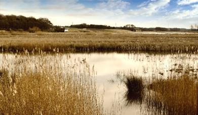 RSPB Burton Mere Wetlands