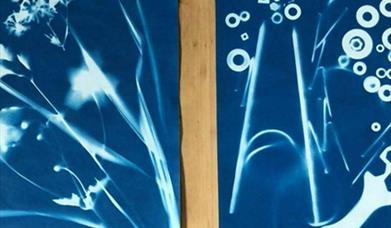 Meet and Make: Cyanotype Printing