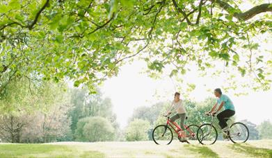 Man and woman cycle through a park in the summer, surrounded by green space and trees.