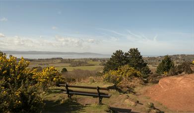 A bench overlooking Wirral Country Park and the sea in the distance